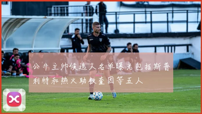 公牛主帅候选人名单曝光包括斯普利特和热火助教奎因等五人
