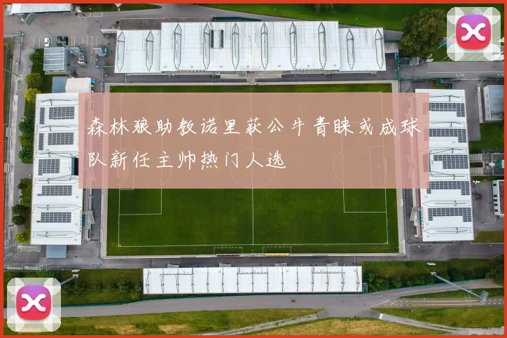 森林狼助教诺里获公牛青睐或成球队新任主帅热门人选