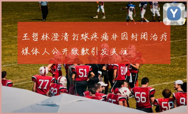 王哲林澄清打球疼痛非因封闭治疗媒体人公开致歉引发关注