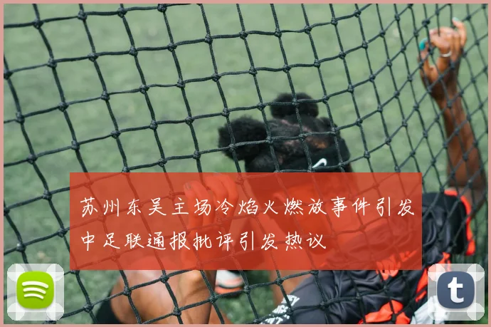 苏州东吴主场冷焰火燃放事件引发中足联通报批评引发热议